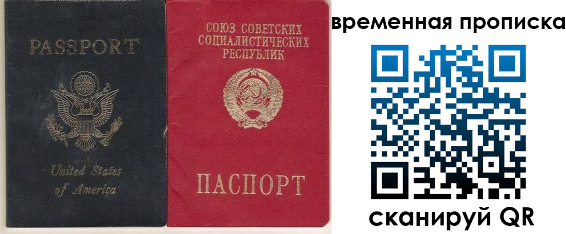 прописка для школы в Новозыбкове